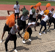 The School Accountant